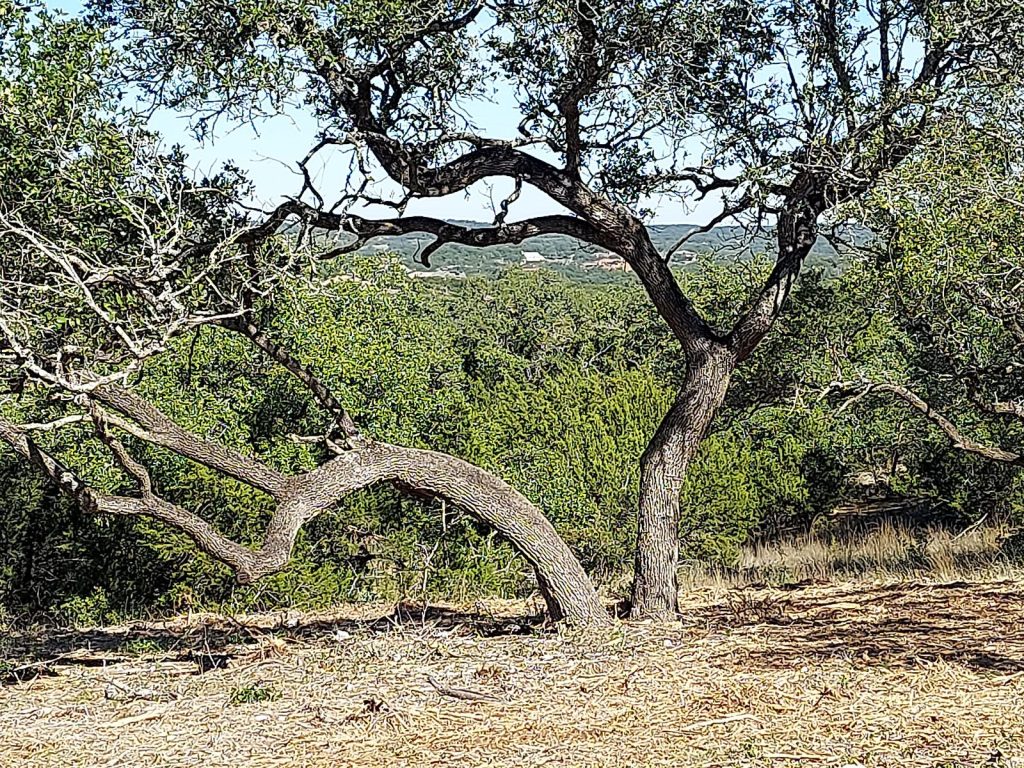 The Canyons at Scenic Loop- Undeveloped Land