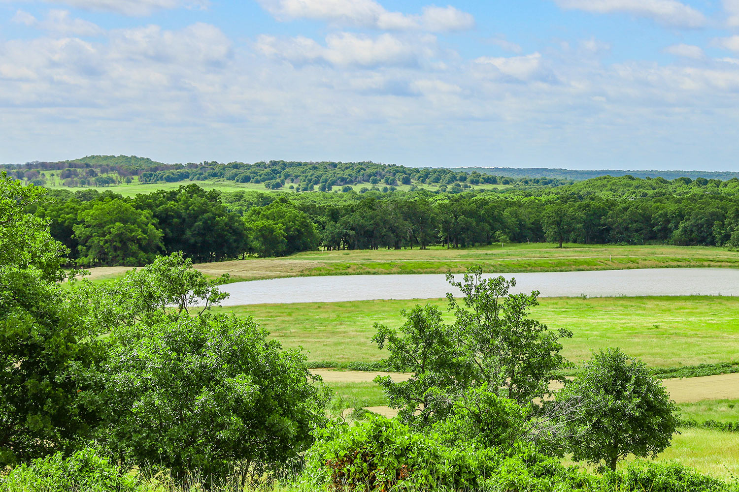 Stone Oak Preserve